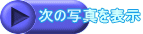 ̎ʐ^\