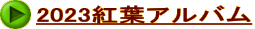 2023�g�t�A���o�� 