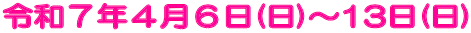 ߘaVNSU()`13() 